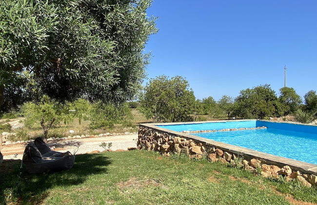 CIP V8 Gold - New!!! - Foto 33