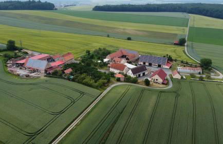 Zwischen Wald und Wiese - Foto 17