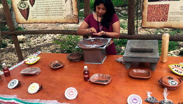 Conhecendo todos os segredos do cacau