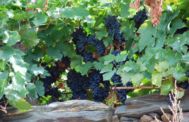 A Casa da Eira - Foto 65