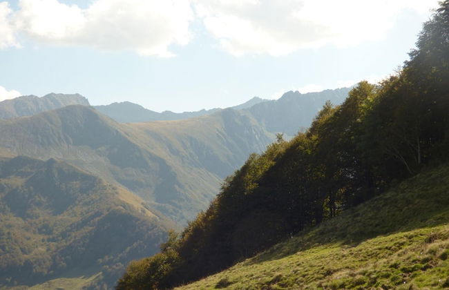 dtente sky lodge - Foto 51