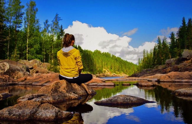 Vildmarks Lodge - Photo 18