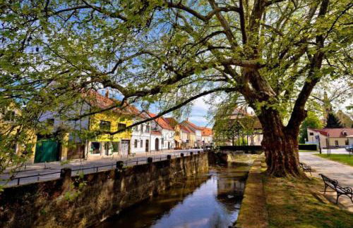 GreenHouse pool & spa - Foto 44