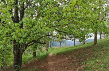 Casa Cermis - Foto 37