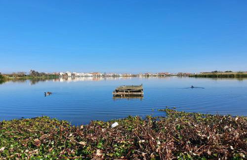 Casa da Mata - Foto 37