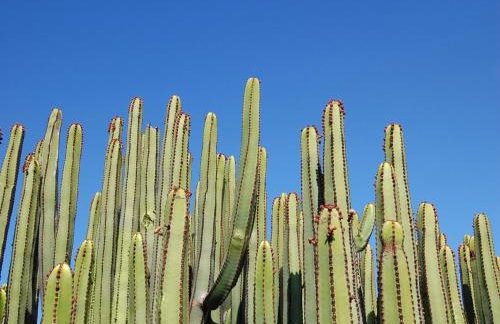 Los Dragos 6 by VillaGranCanaria - Foto 60