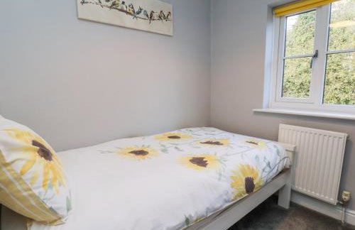 Dabbling Ducks - Foto 23