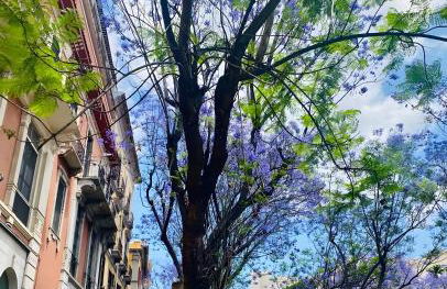 Casa Amita - Foto 26