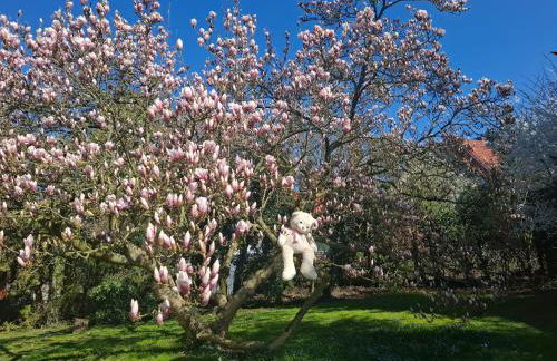 Ferienhaus Richard - Foto 35