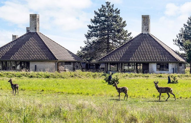 2-room Holiday Home in Karrebaeksminde - Foto 12