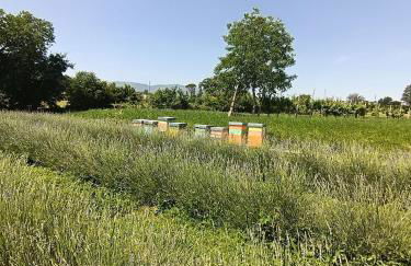 L'Antico Fienile - Foto 5