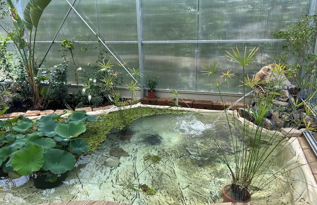 tenuta castel dell'aquila - Photo 51