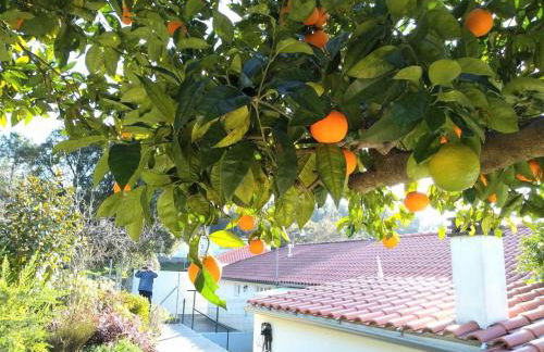 Casa Rio Zêzere - Foto 22