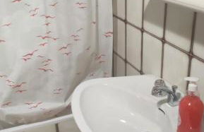 Agrifoglio - Foto 13