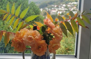 Apartments in Biedenkopf - Foto 34