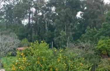 HAUT VILLA MESANGES EN BORD DE MER ! - Foto 18