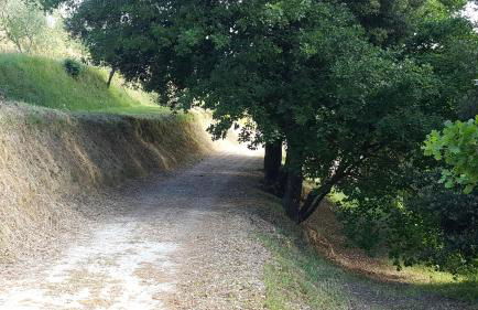 Agriturismo Le Querce - Foto 31