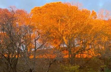 Kekaroka Lodge, Cumbria - Foto 43