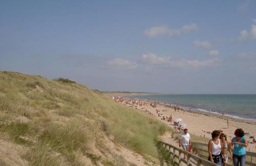 Le Figuier - Foto 46