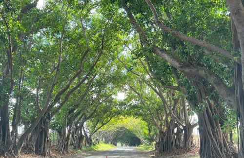 Kauai Beach Villas E16 - Foto 50