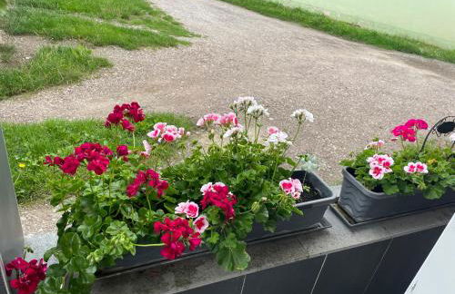 Pension Doreen Nieswand - Foto 29