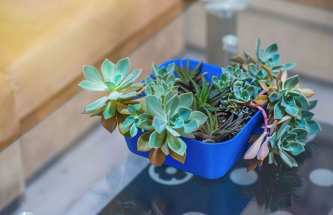 H&B apartments Qolga - Foto 41