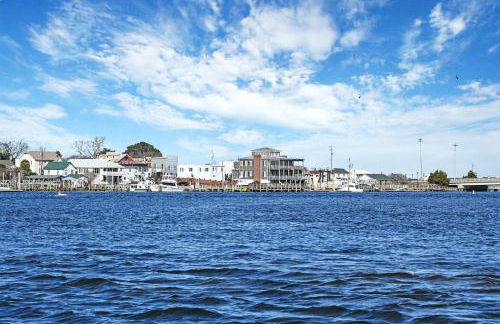 Your Private Island | Eco-Glamping | NC Coast - Foto 42