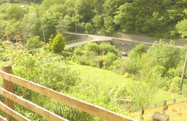 Plas Penaeldroch Manor - Foto 32