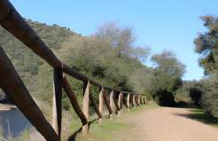 El Rinconcito - Foto 15