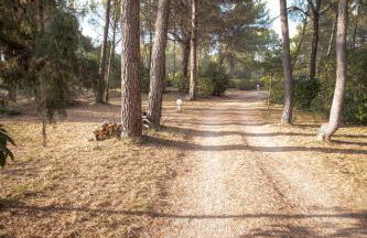 Le Clos Zinou - Foto 22