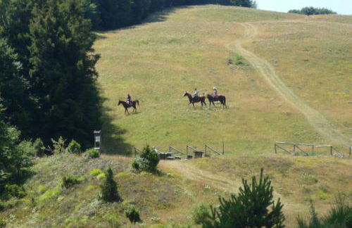 I Faggi Rossi - Foto 23