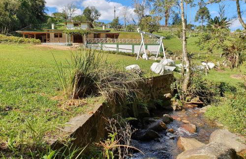 Sítio Pedacinho do Céu na Serra Catarinense - Foto 99