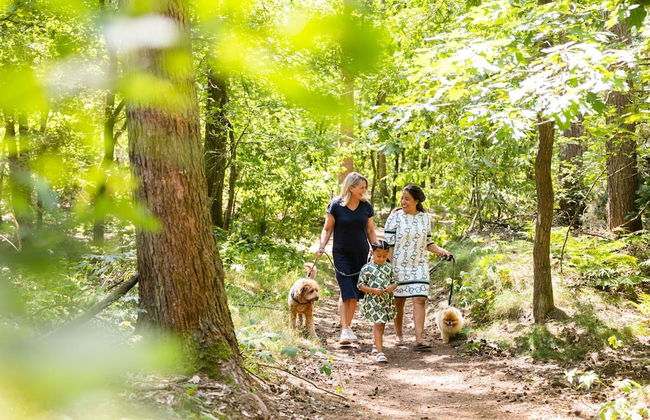 Chalet in Brabant With Spacious Garden - Photo 29