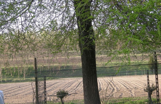 Agriturismo Le Clementine - Foto 40