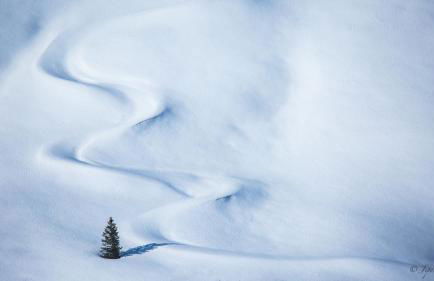 Chez Francine - Photo 14