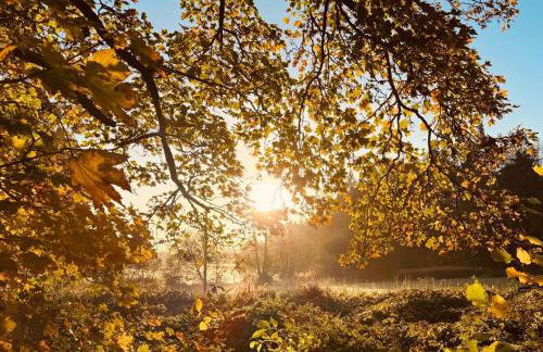 Woodland, Canal & Lakeside Cottage - Foto 4