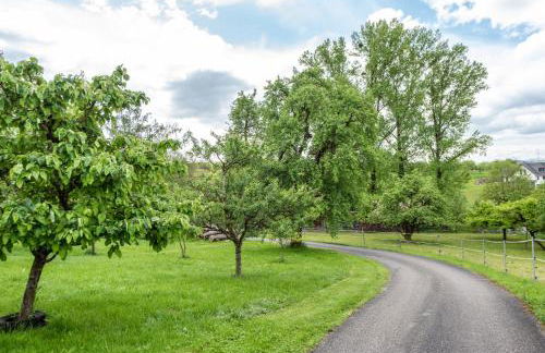 Ferienwohnung Alexandra - Foto 35
