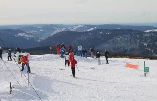Le refuge du peintre - Foto 34