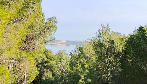 Mas de Caussagues, la Presqu'ile - Foto 5