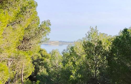 Mas de Caussagues, la Presqu'ile - Foto 5