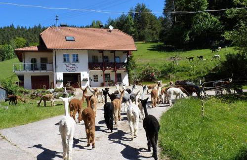 Alpaca-Village - Foto 23