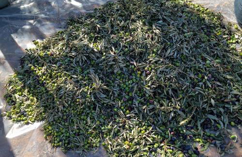 Traditional house inside Filoti, Naxos - Foto 65