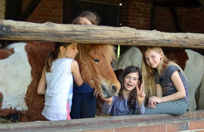 Ponyhof Georgenbruch - Photo 49