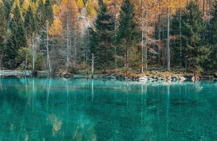 CAMERE Panorama relax garden With Free Parking - Foto 50