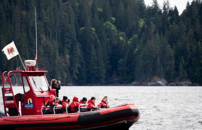 6 Hour Whale and Wildlife Boat Tour - Foto 18