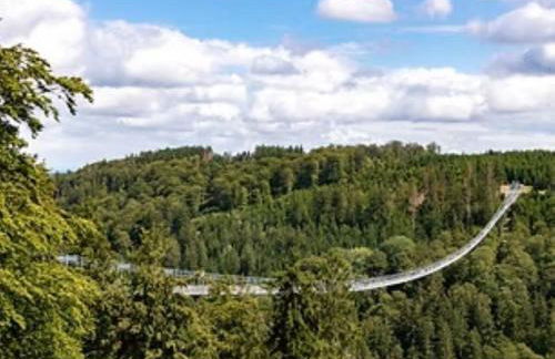 Holiday apartment in Vöhl with swimming pool - Foto 23