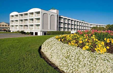 Seawall Breeze One bedroom Condo in Galveston - Photo 16