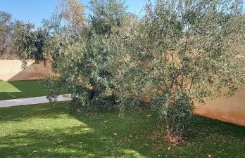 Gianni & Sophia airport house - Foto 1