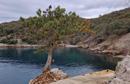 Stone House Rosuja - Foto 64