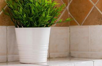 Culture Residence Consalvo Otto - Foto 36